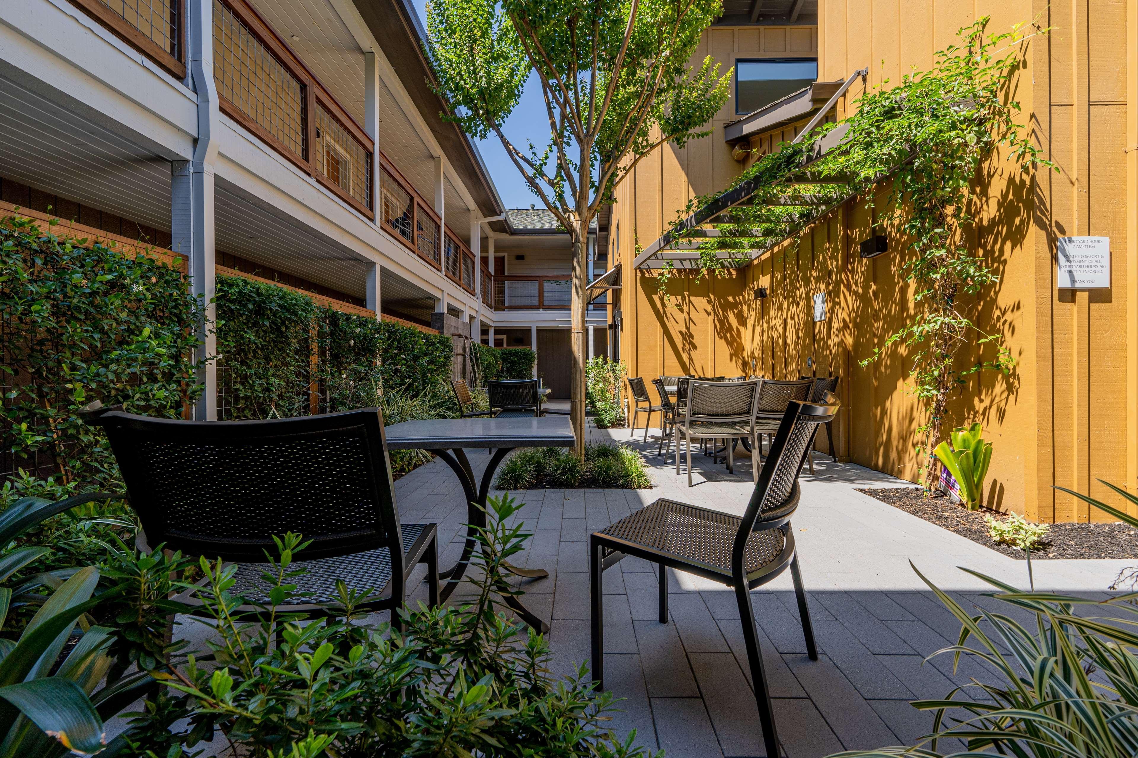 Best Western Plus Stevenson Manor Calistoga Esterno foto